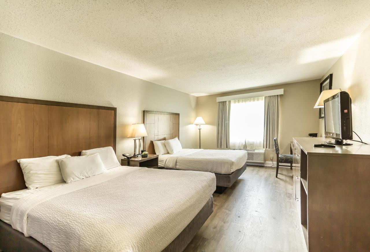 La Quinta Inn By Wyndham Richmond South Chester Exterior photo